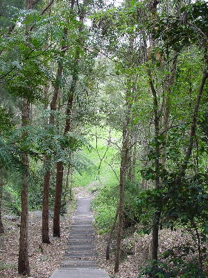 b0014416_22232841.jpg