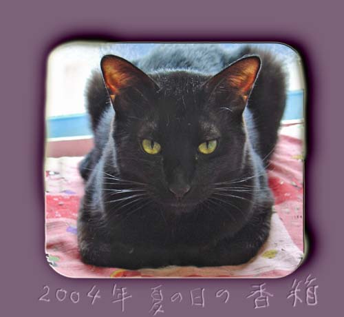 香箱