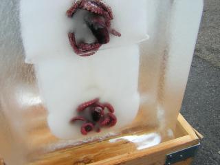 b0013897_232116.jpg