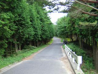 b0013897_2395520.jpg