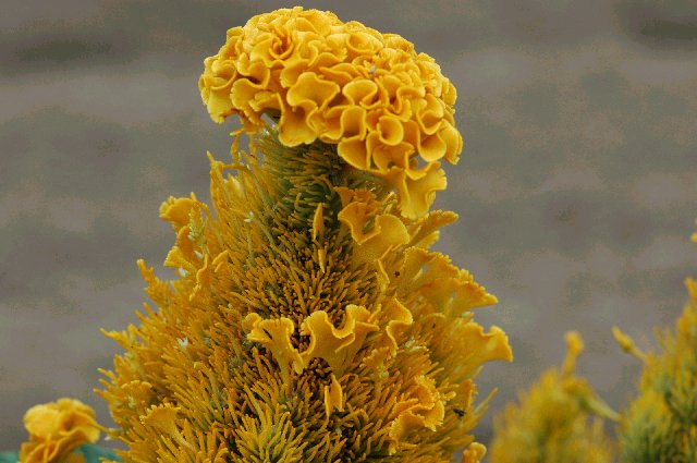 a0017634_231985.jpg