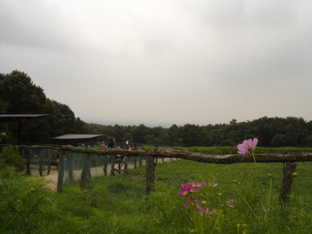 a0026254_0444544.jpg