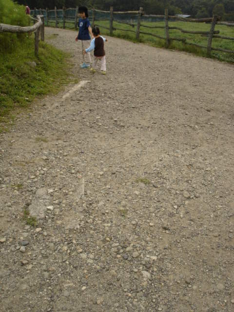 a0026254_0451276.jpg