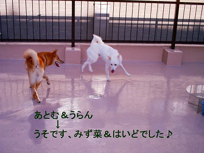 b0006329_22535041.jpg