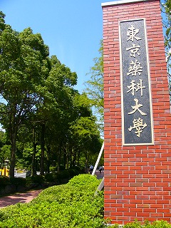b0009029_14184165.jpg