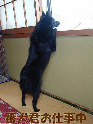 a0009750_11434449.jpg