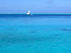 b0003850_1225187.jpg