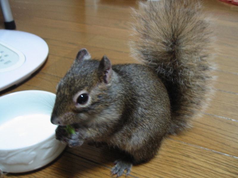 a0015164_93023100.jpg