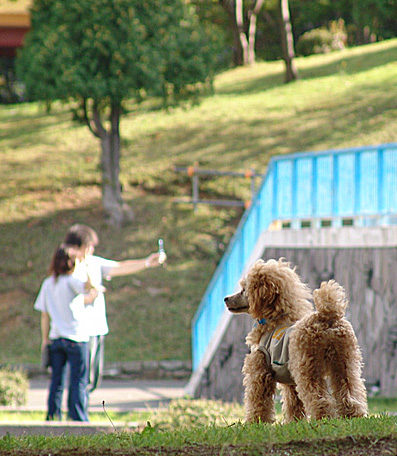 a0016311_15122485.jpg