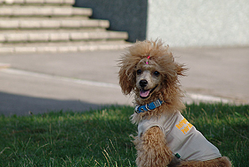 a0016311_15135334.jpg