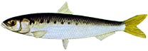 a0024531_11155611.jpg