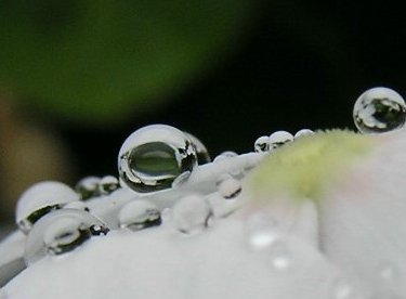 a0018655_1512219.jpg