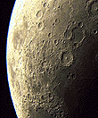 a0020212_11595955.gif