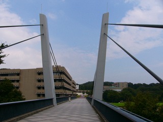 b0009029_20414059.jpg