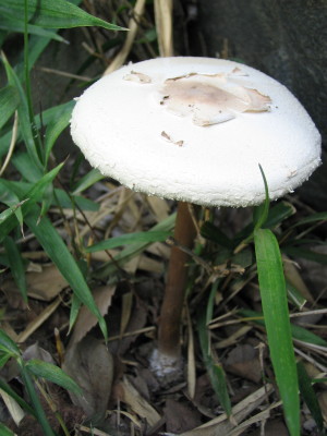a0013751_0204554.jpg