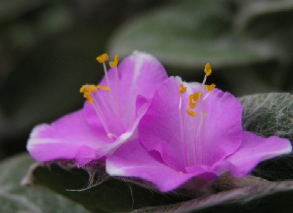 a0018655_13395682.jpg