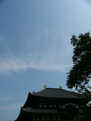 a0008934_831487.jpg