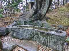 a0038129_1922724.jpg