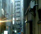 b0007895_21264171.jpg