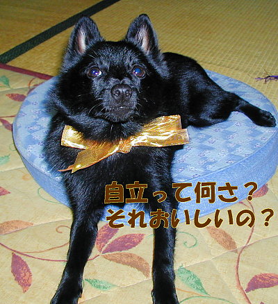 a0009750_1265577.jpg