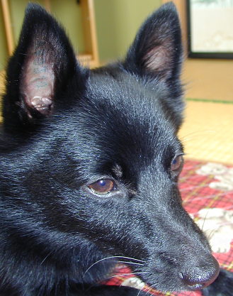 a0009750_1275711.jpg