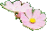 b0022959_045097.gif