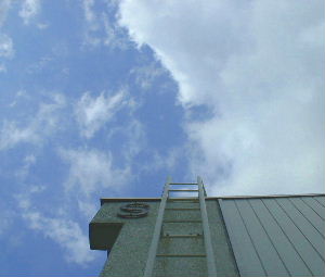 b0015260_84048100.jpg