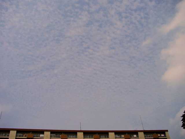 a0031000_23234644.jpg