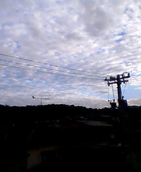 a0035113_412357.jpg