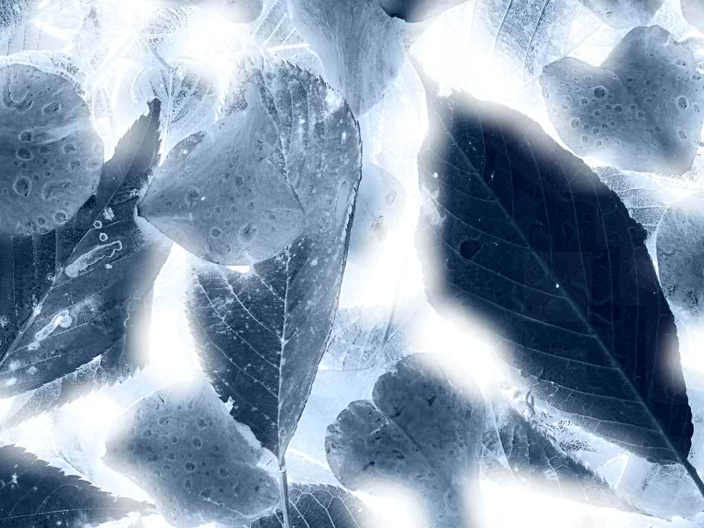 a0021871_1035535.jpg