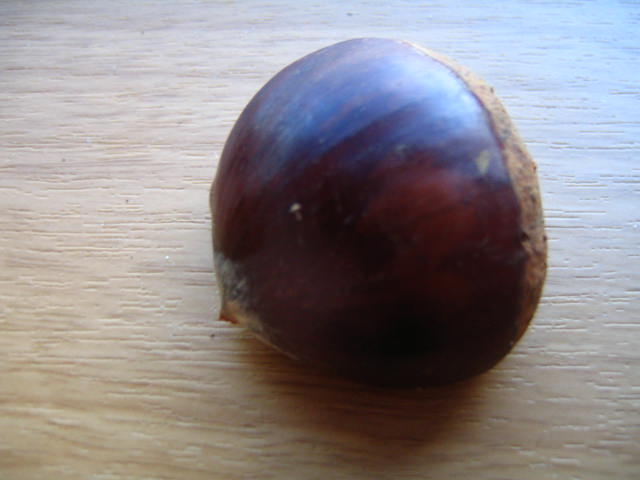 b0016012_5555843.jpg