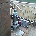 a0028016_1720781.jpg