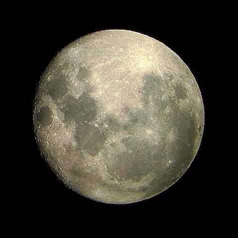 b0025745_5313973.jpg