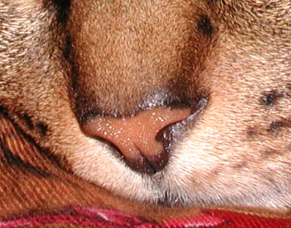 b0023728_121504.jpg