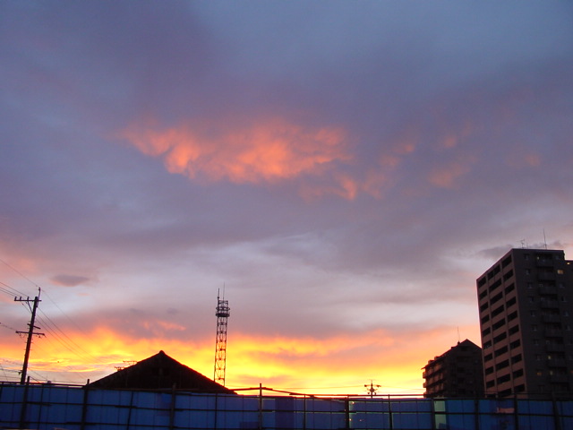 a0031000_22493539.jpg