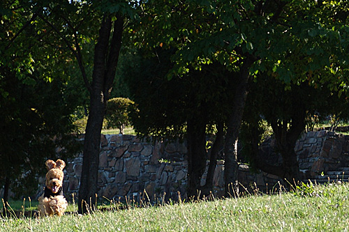 a0016311_2049443.jpg