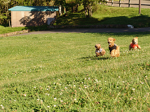 a0016311_2112167.jpg