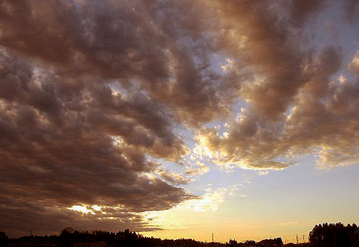 b0020220_1851640.jpg