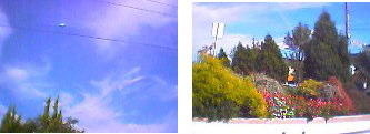 a0021421_2523052.jpg