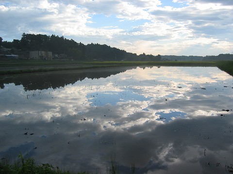 a0023043_10142145.jpg