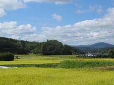 a0023043_10245643.jpg