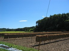 a0023043_10284999.jpg