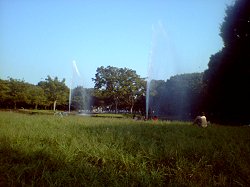 a0002273_0162475.jpg