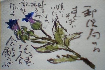a0033474_12521911.jpg