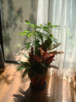 a0011999_23543644.jpg