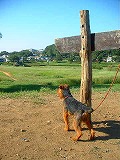 a0035678_2011053.jpg