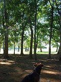 a0035678_20225.jpg