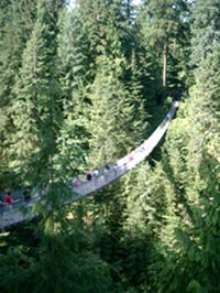 a0034225_6275968.jpg