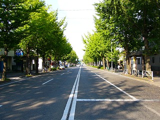 b0009029_1512317.jpg
