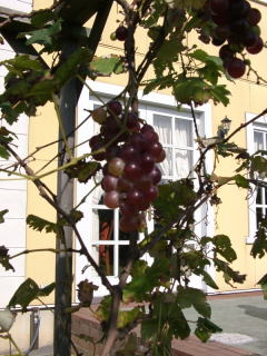 a0009747_22193167.jpg